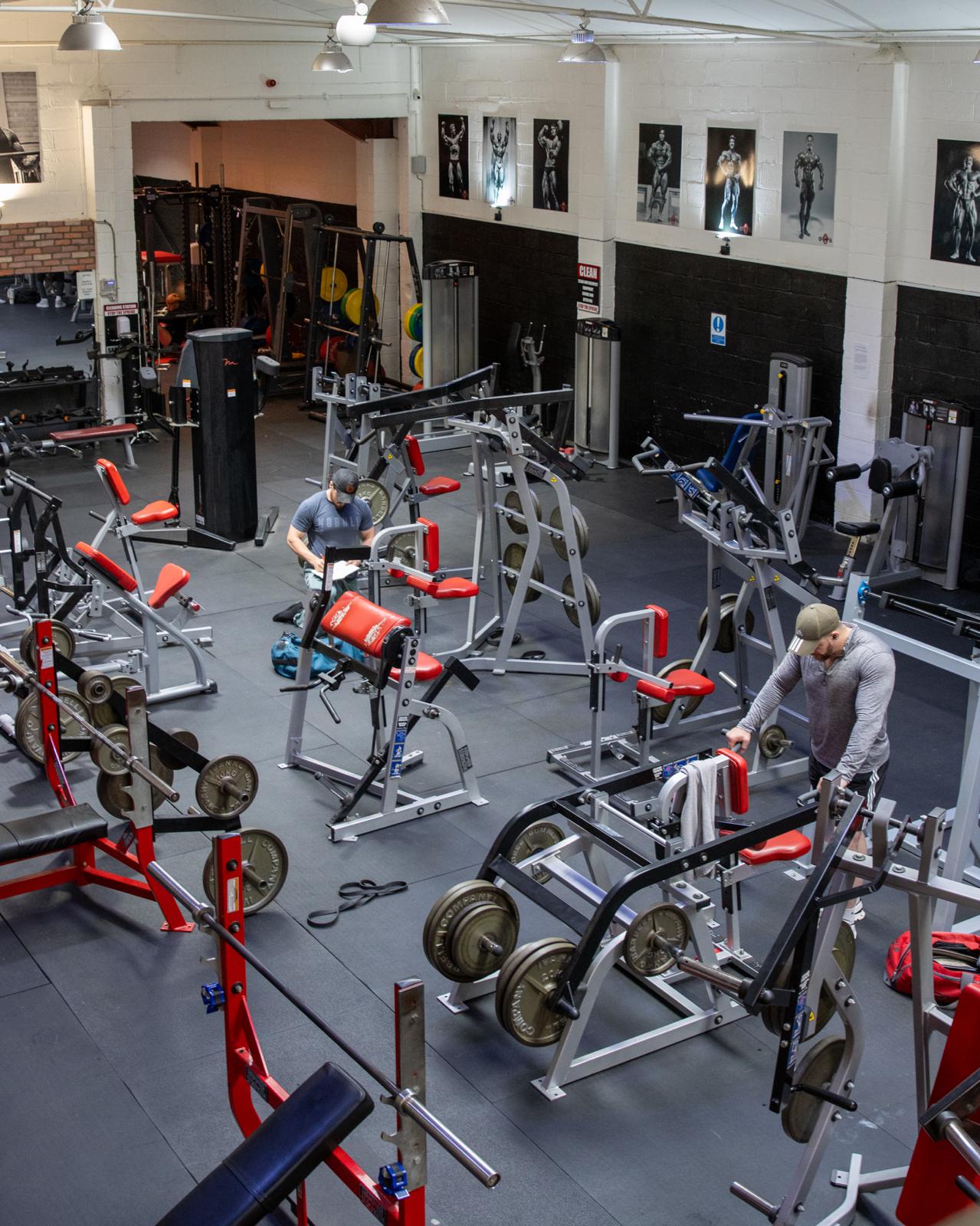 Elite Performance gym floor with plate-loaded machines and dumbbells
