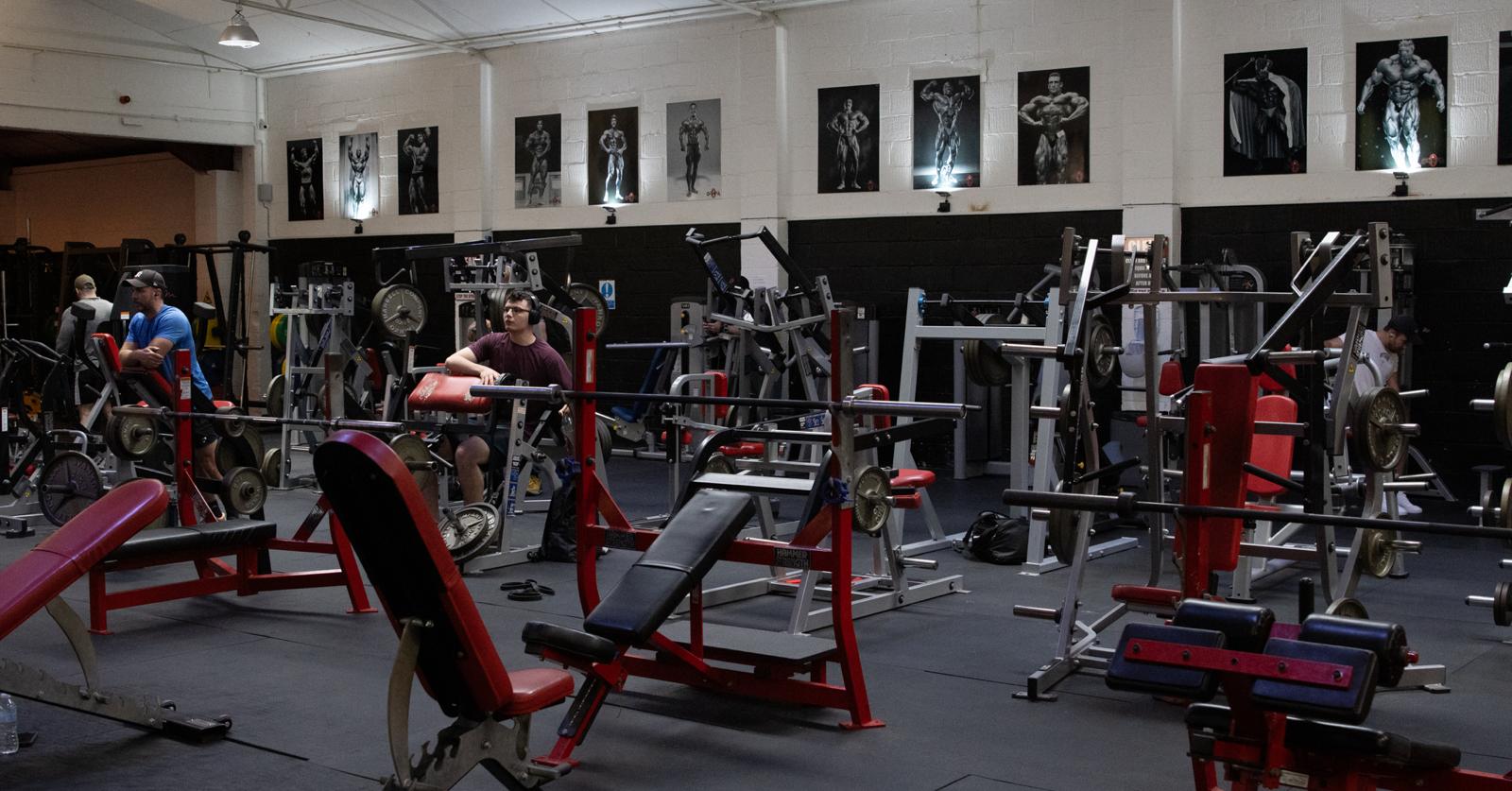 Chest & Free Weights